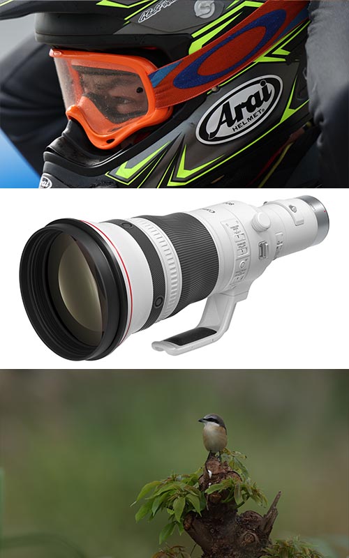 Canon Teleobjektive
