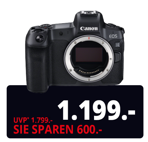 CANON EOS R BODY